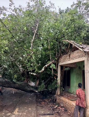 hujan-lebat-di-sertai-angin-kencang-yang-menyebabkan-1-pohon-tumbang-menimpa-rumah-warga