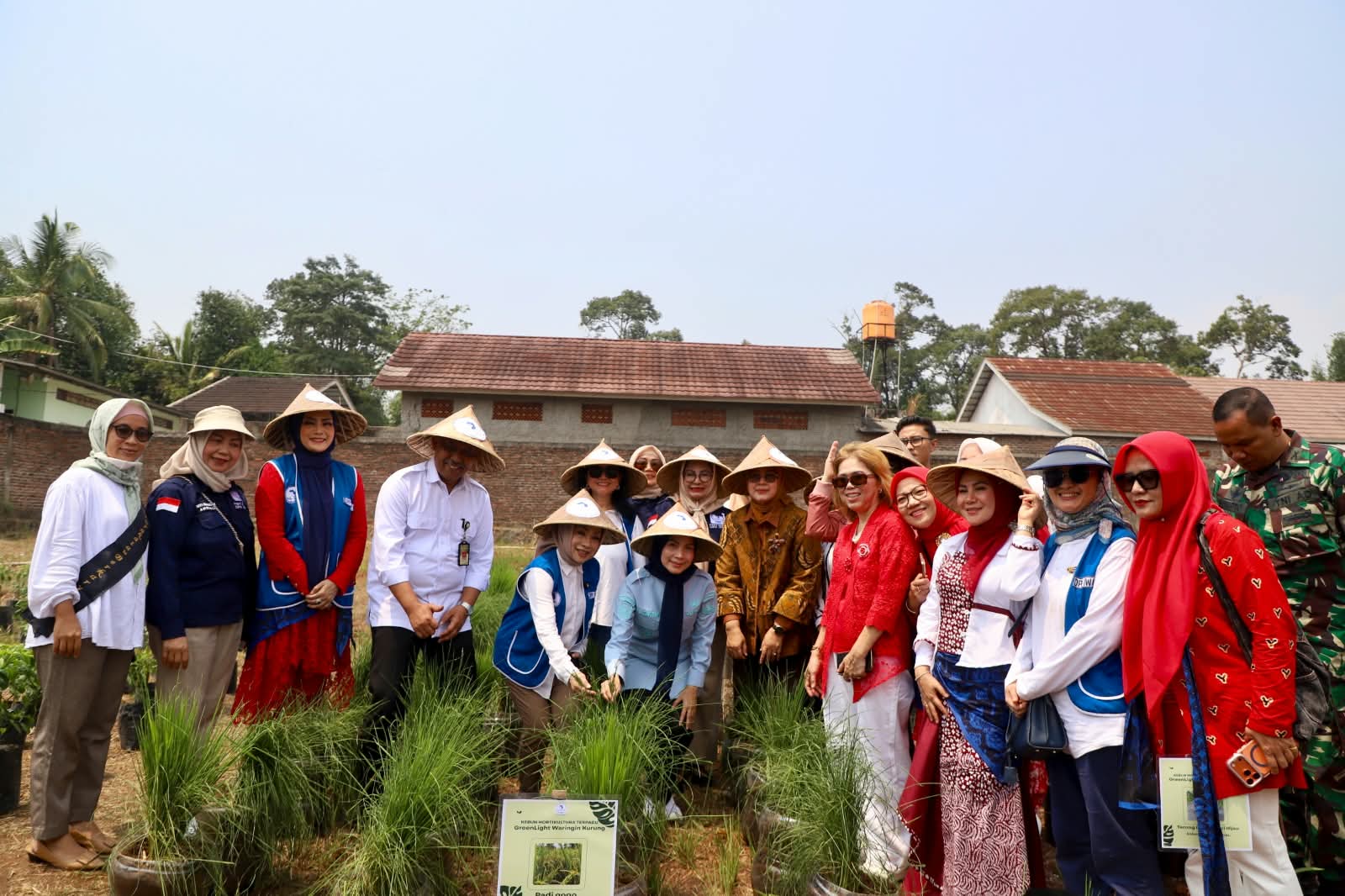 kabupaten-serang-jadi-pilot-project-kampung-holtikultura-gerakan-perempuan-pangan-iwapi