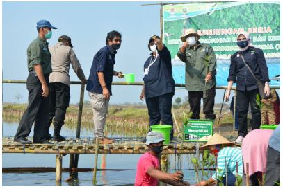 menteri-klhk-cek-penanaman-mangrove-di-lontar